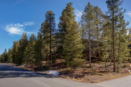 0238 Wild Irishman Road by Summit County Mountain Retreats - image 49