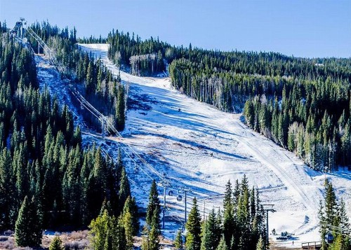 Alders by Summit County Mountain Retreats - image 10