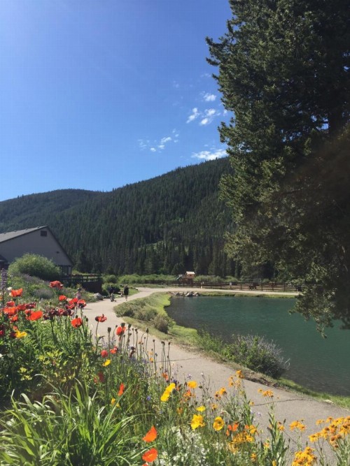 Lakeside 1476 - image 18