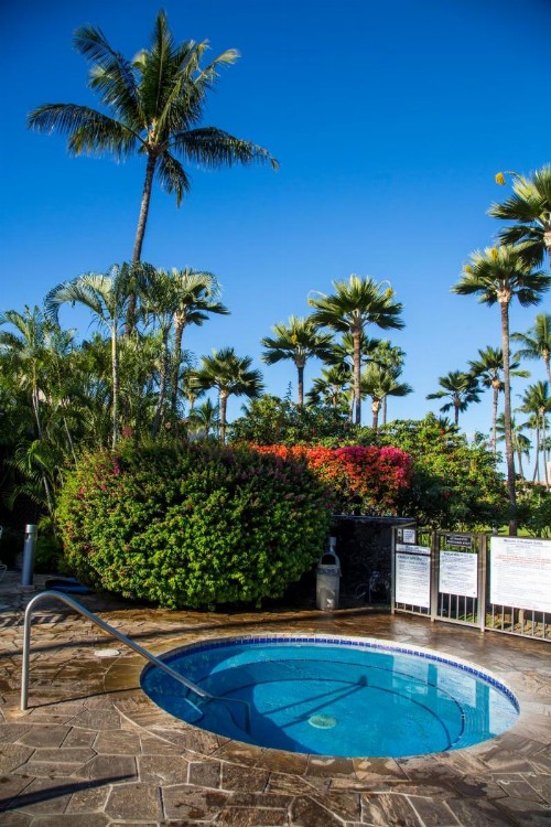 Castle Kamaole Sands - image 46