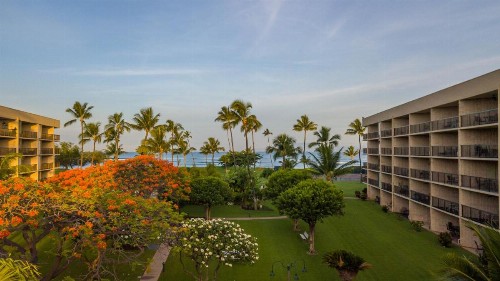 Maui Sunset - image 35