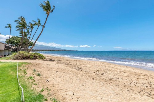 Kihei Kai Oceanfront Condos - image 42