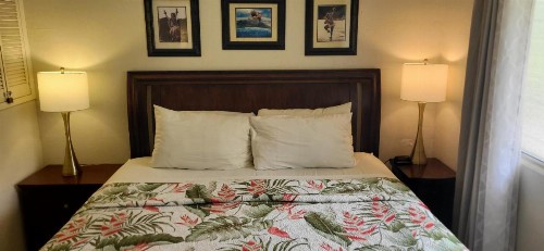 Kihei Kai Nani Resort - image 10