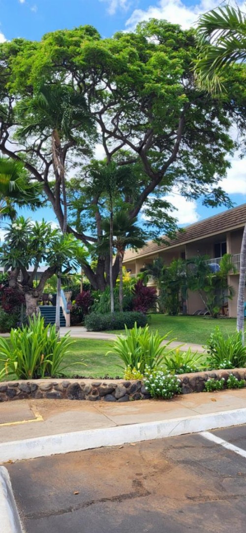 Kihei Kai Nani Resort - image 21