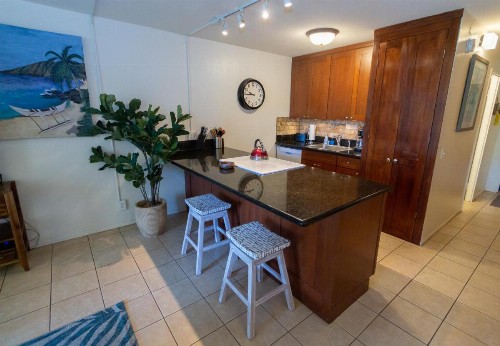 Maui Vista Vacation Condo - image 10