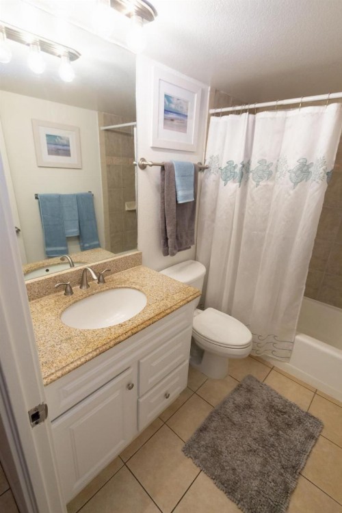 Maui Vista Vacation Condo - image 20