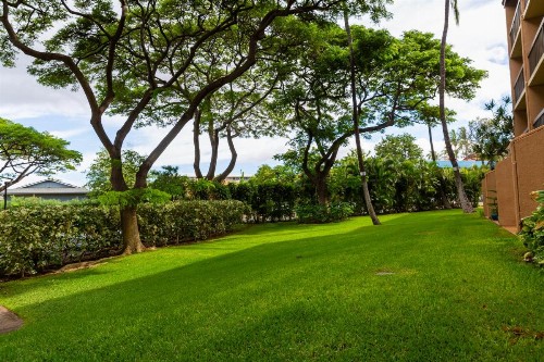 Maui Vista Vacation Condo - image 32