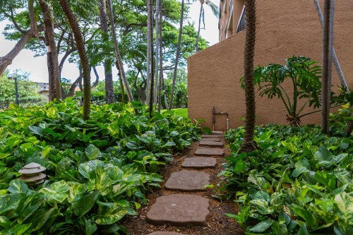 Maui Vista Vacation Condo - image 34
