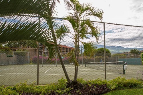 Maui Vista Vacation Condo - image 37