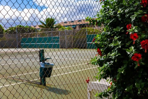 Maui Vista Vacation Condo - image 38