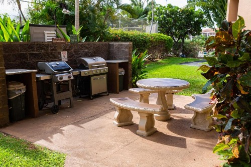 Maui Vista Vacation Condo - image 43