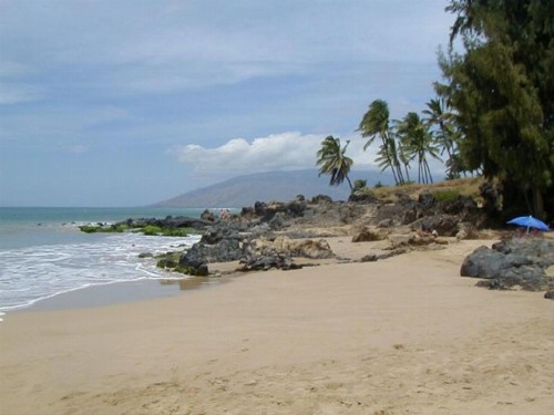 Maui Vista Vacation Condo - image 45
