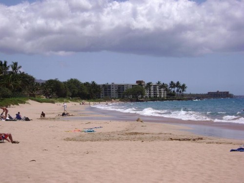Maui Vista Vacation Condo - image 46