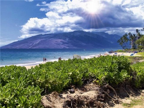 Maui Banyan G-101 - 2 Bedrooms Ground-floor Renovations close to beach Pools Hot Tubs