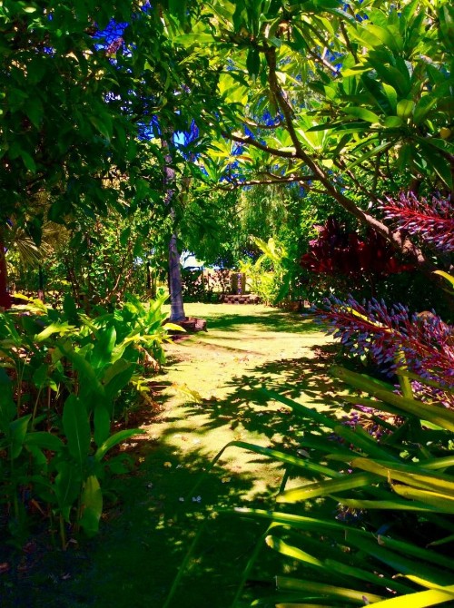 Nona Lani Cottages - image 16