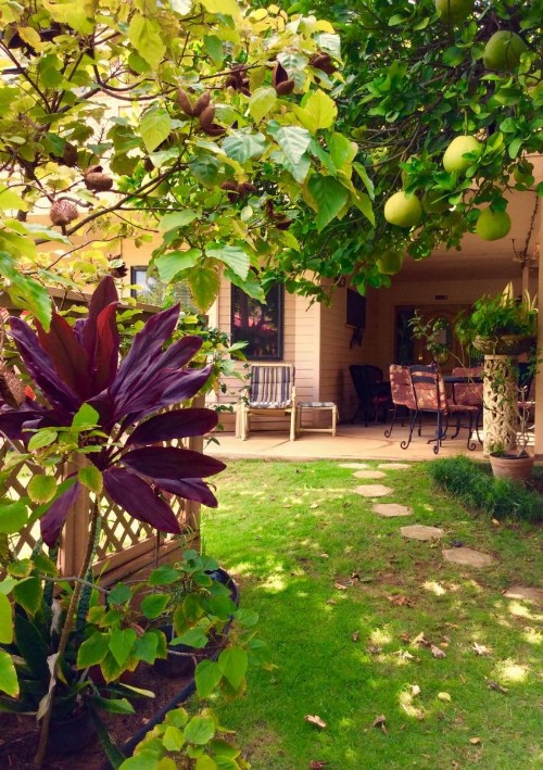 Nona Lani Cottages - image 35