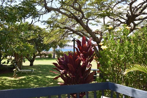 Nona Lani Cottages - image 8