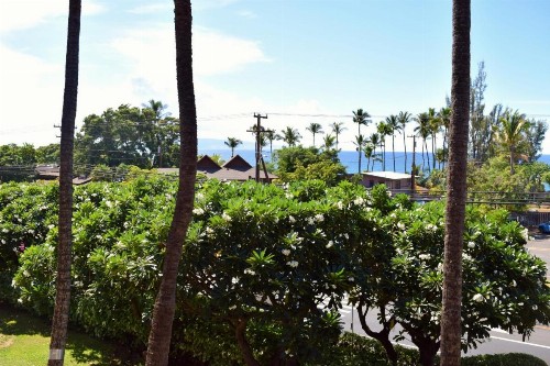 Maui Vista 1313 - image 8