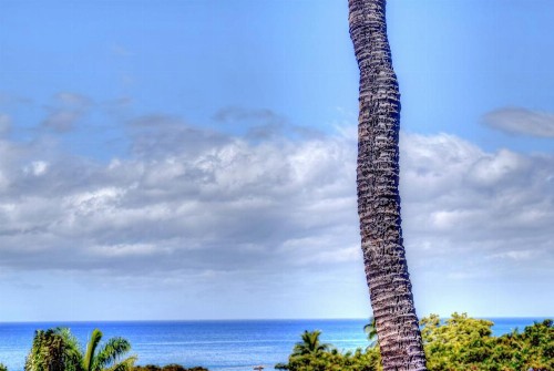 Maui Vista 2406 - image 7