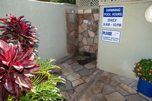 Shores Of Maui 224 - image 19