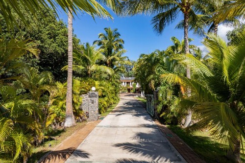 Aloha AKU - CoCoPalm 1 - image 17