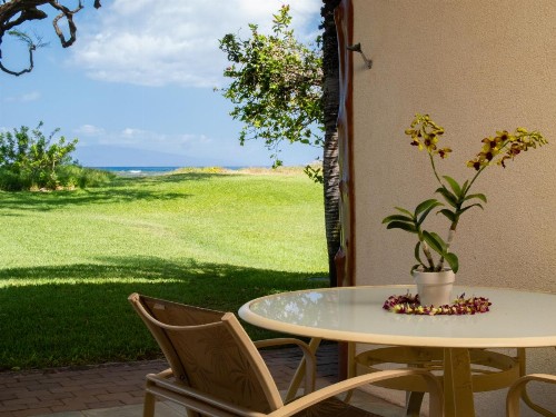 Aloha AKU - CoCoPalm 2 - image 7