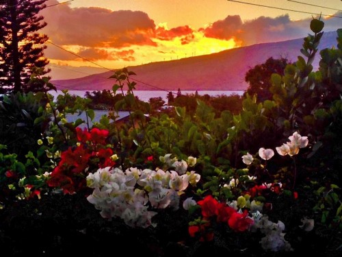 Ocean Breeze Hideaway - image 1