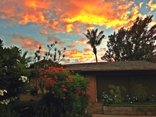 Ocean Breeze Hideaway - image 11
