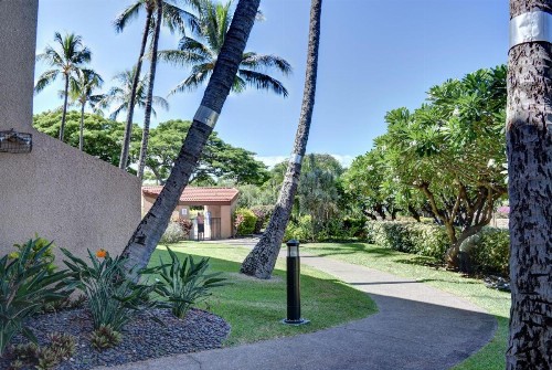 Maui Vista 1114 - image 11