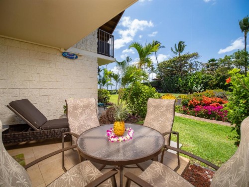 Aloha WAI2 - image 26