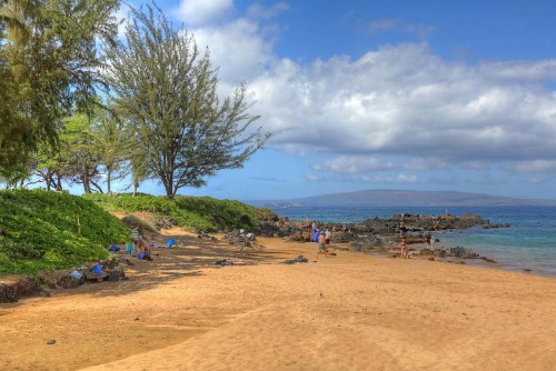 Kihei Ali'i Kai B301 - image 7