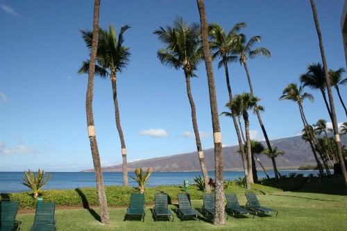 Sugar Beach Resort #319 by Ali'i Resorts - image 4