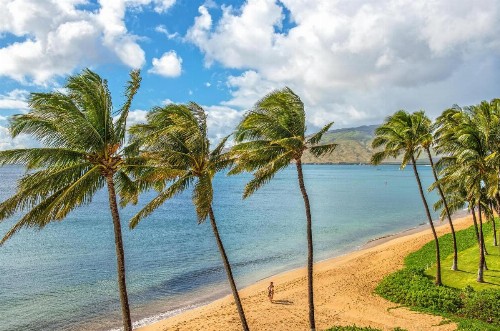 Kihei Beach Resort 503 - image 3