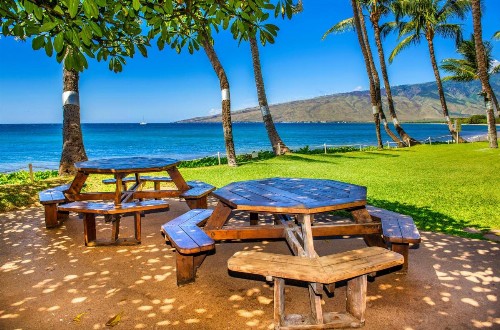 Kealia Resort 501 - image 7