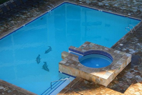Sugar Beach Resort #330 by Ali'i Resorts - image 7