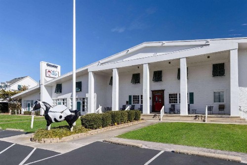 Days Inn by Wyndham Kill Devil Hills Oceanfront - Wilbur - image 12