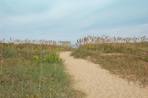 Days Inn by Wyndham Kill Devil Hills Oceanfront - Wilbur - image 46