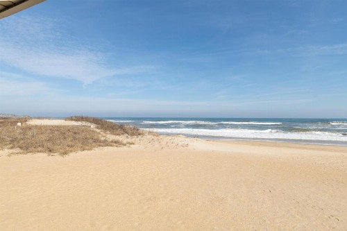 Cavalier by the Sea - image 25