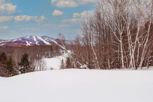 Killington Mountain Lodge Tapestry Collection by Hilton - image 12