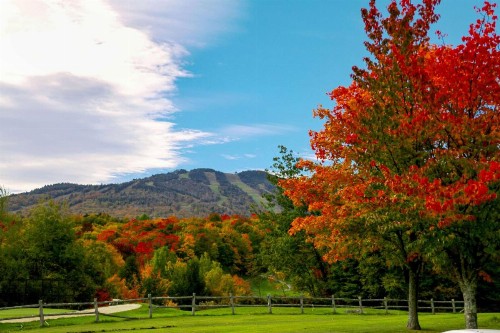 Killington Mountain Lodge Tapestry Collection by Hilton - image 8