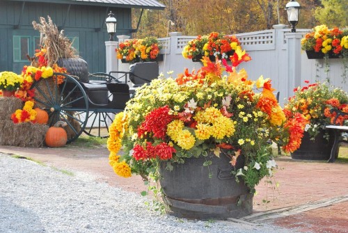 Greenbrier Inn Killington - image 5
