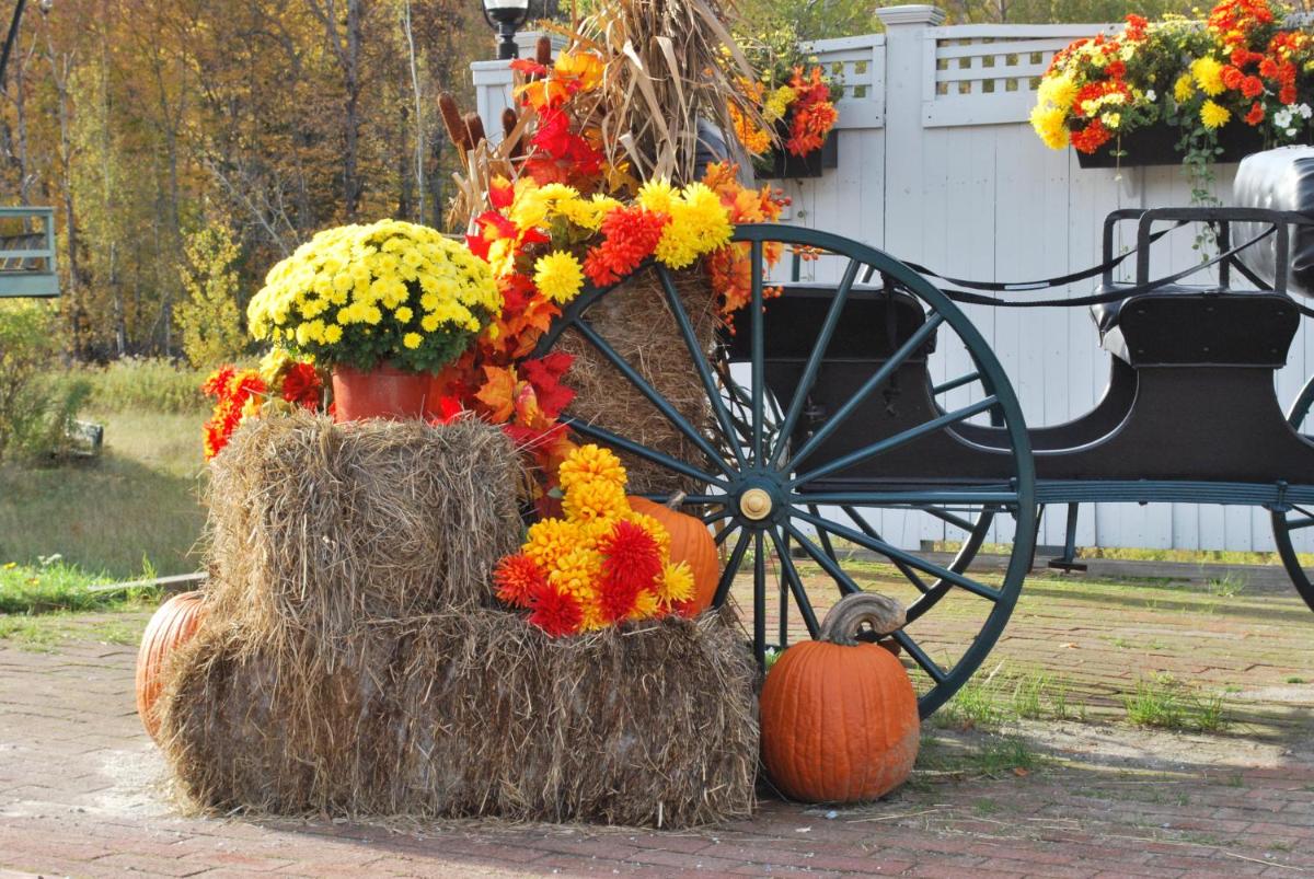 Greenbrier Inn Killington - image 6