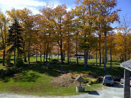 Cascades Lodge - image 7