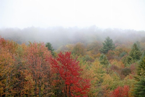 Trailside Inn - image 24