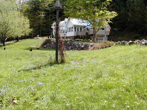 Mountain Valley Retreat - image 3