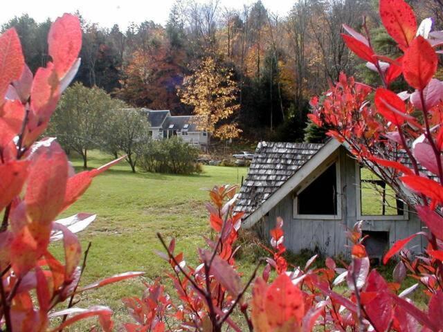Mountain Valley Retreat - image 4