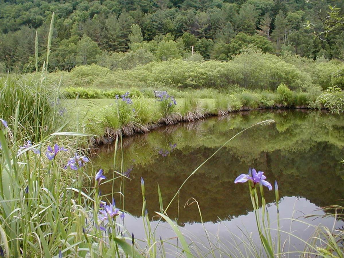Mountain Valley Retreat - image 5