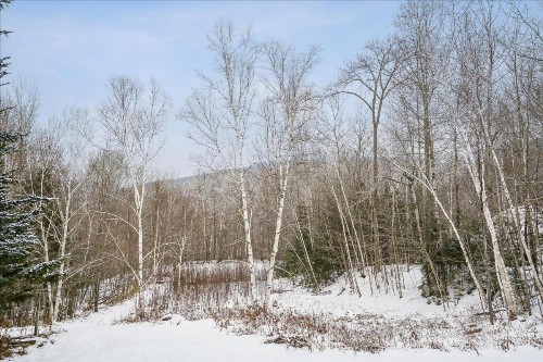 Northbrook Townhouse #3 - image 22