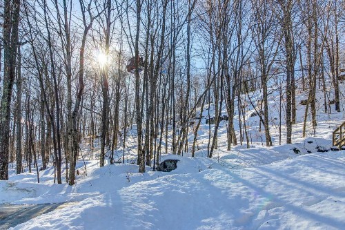 Killington's Hideaway - image 3