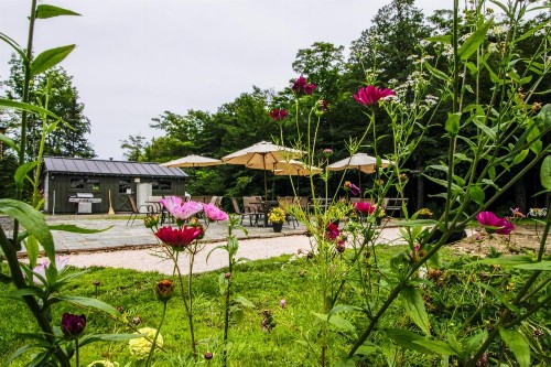 Sunrise Village - image 10